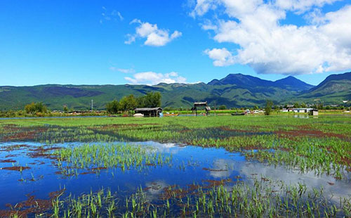 拉市海怎么去 拉市海游玩攻略