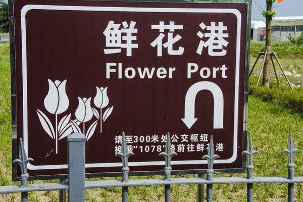上海鲜花港和上海滨海森林公园游玩攻略