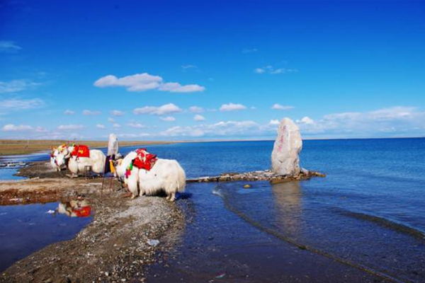 青海湖旅游注意事项