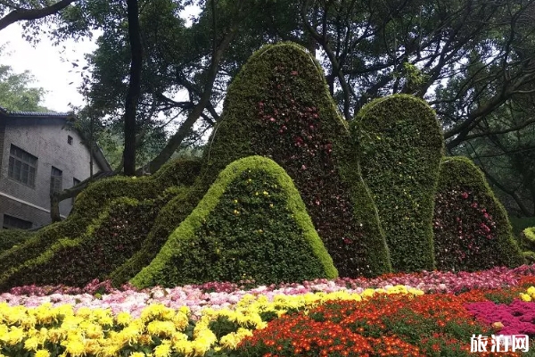 重庆秋天适合去哪里旅游 重庆秋天赏花好去处