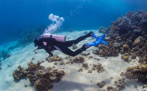 浮潜穿什么衣服 潜水需要穿泳衣吗