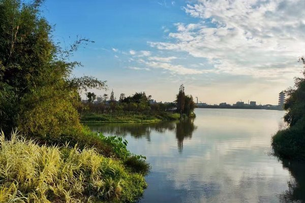 华阳湖湿地公园游玩攻略-门票价格-景点信息