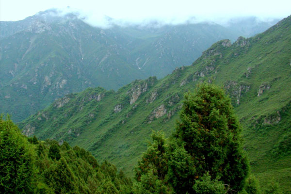 2024新疆和静北山森林公园游玩攻略-门票价格-景点信息