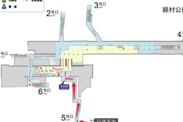 2021上海樱花节车辆通行调整情况 上海赏樱游园出行攻略