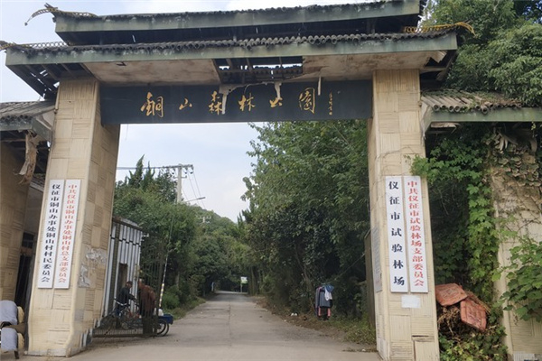 铜山森林公园