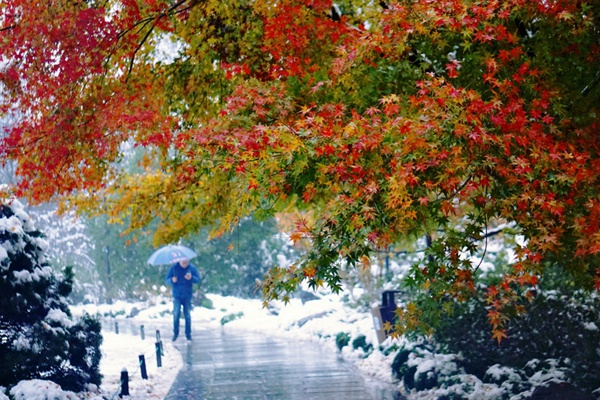 冬天杭州西湖旅游线路推荐 这份西湖下雪精品路线攻略请收好