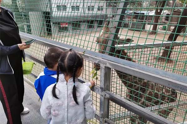 2024濮阳市中心动物园旅游攻略-门票价格-景点信息