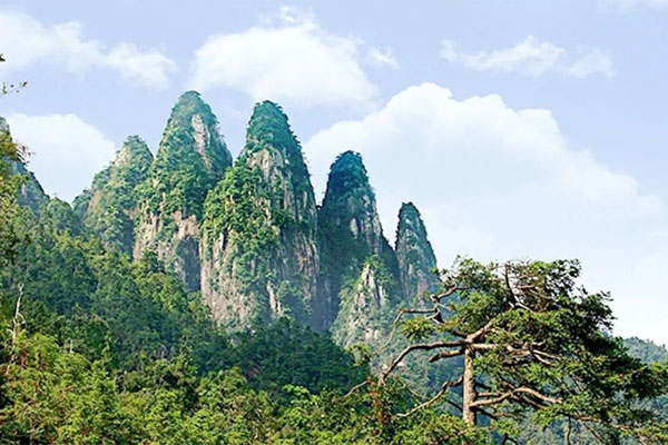 2024五指山热带雨林风景区旅游攻略-门票价格-景点信息