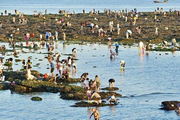 大连赶海地点和最佳赶海时间