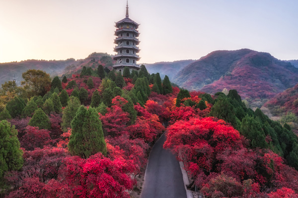 巫山红叶哪里观景最好