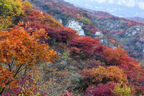 济源秋季旅游景点推荐